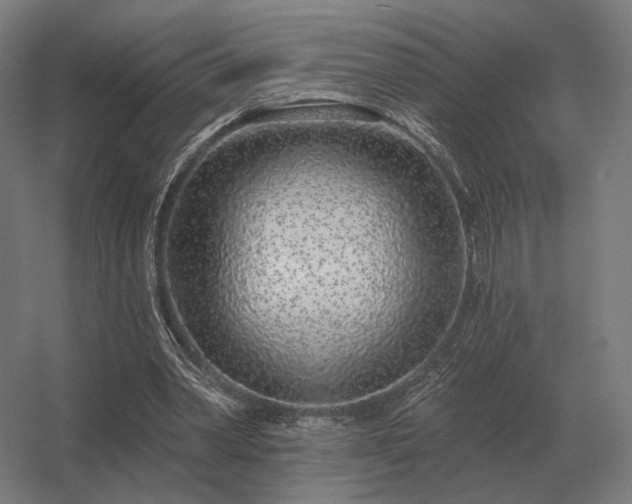 X0000056370390200509021820