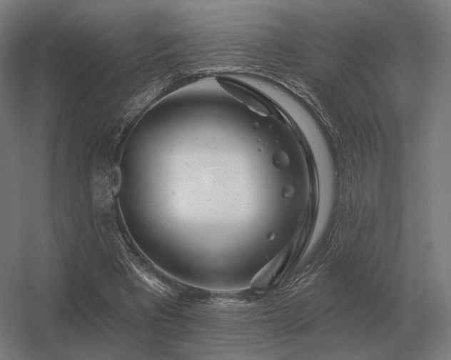 X0000056370393200509021820