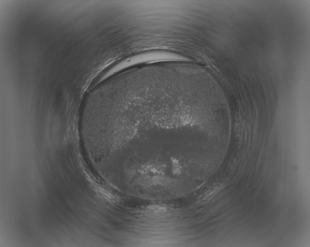 X0000056370394200509021820