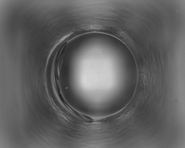 X0000056370395200509021820