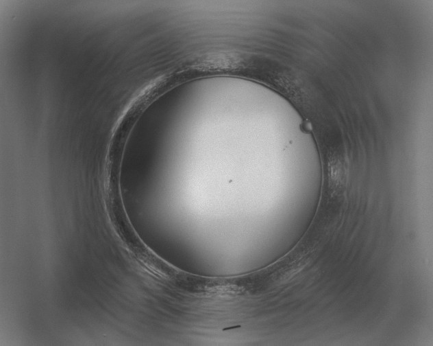 X0000056370396200509021820