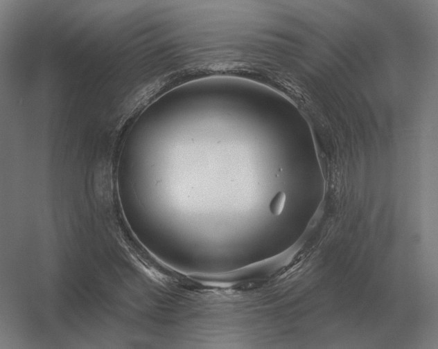 X0000056370397200509021820