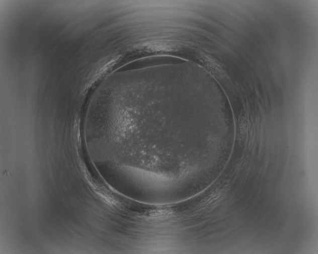 X0000056370398200509021820