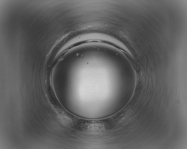 X0000056370400200509021820