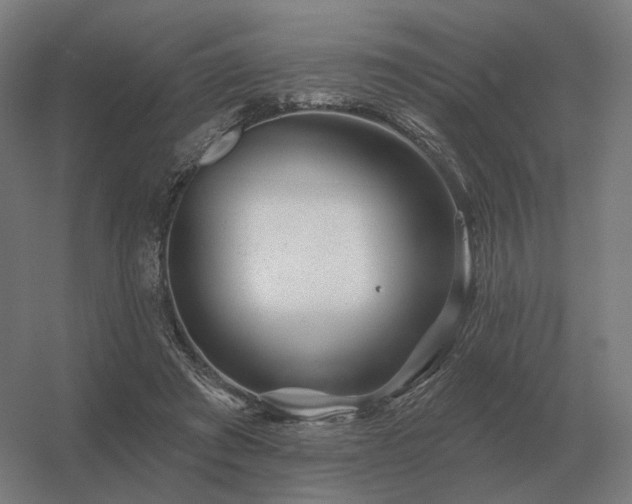 X0000056370401200509021820