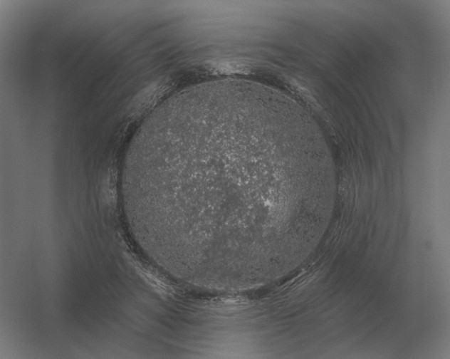 X0000056370402200509021819