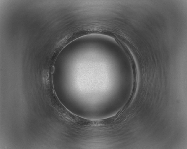 X0000056370403200509021819