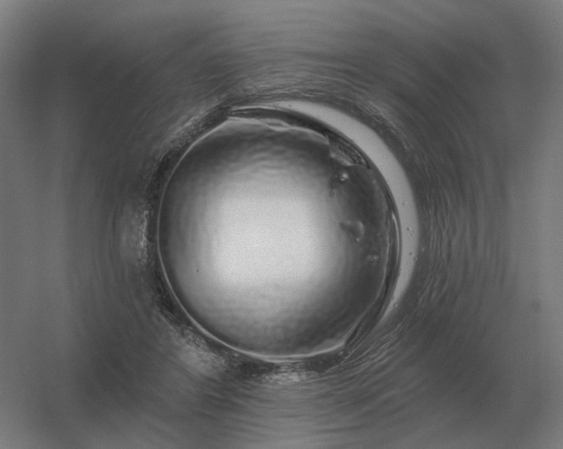 X0000056370404200509021819