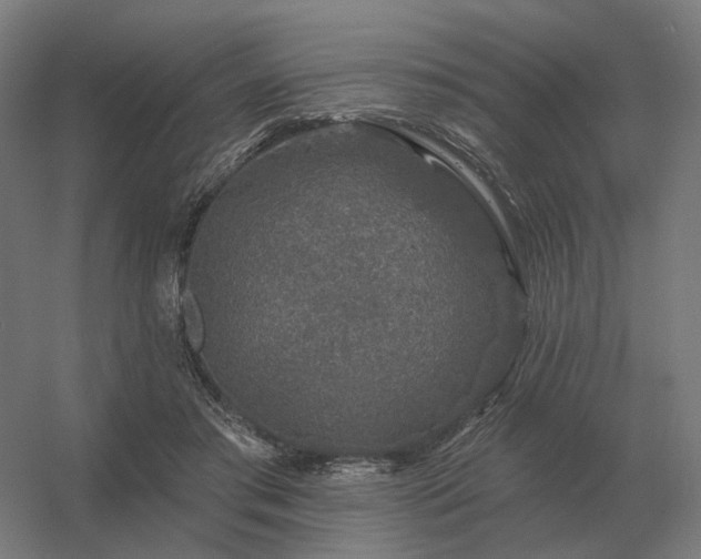 X0000056370405200509021819