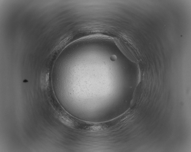 X0000056370406200509021819