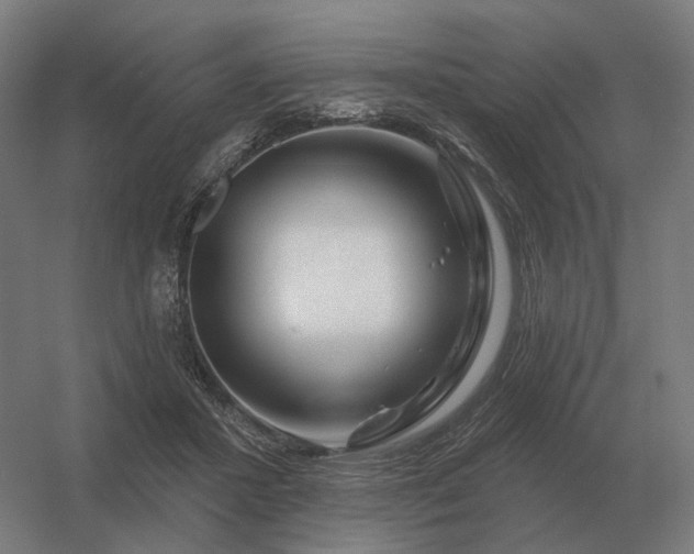 X0000056370407200509021819