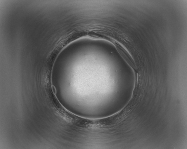 X0000056370408200509021819