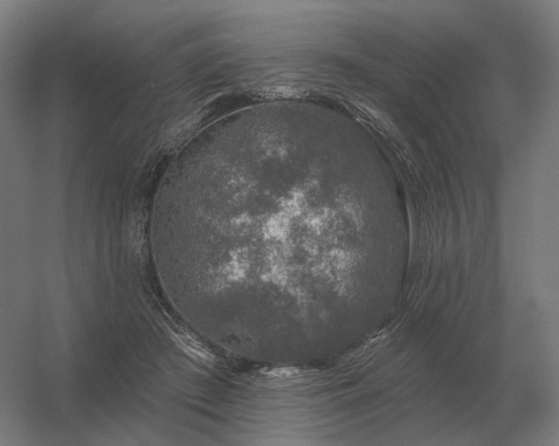 X0000056370409200509021819