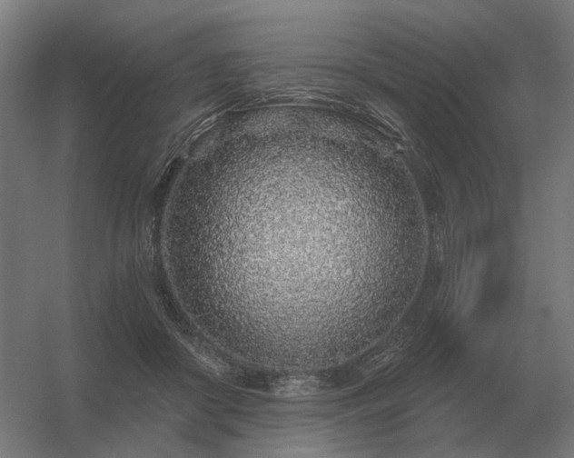 X0000056370410200509021819