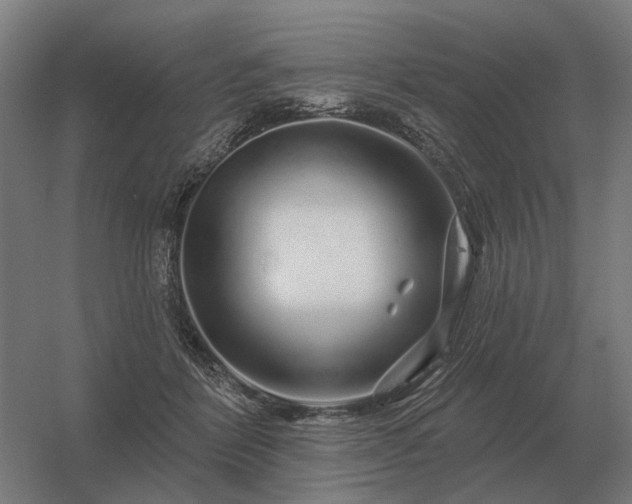 X0000056370412200509021819