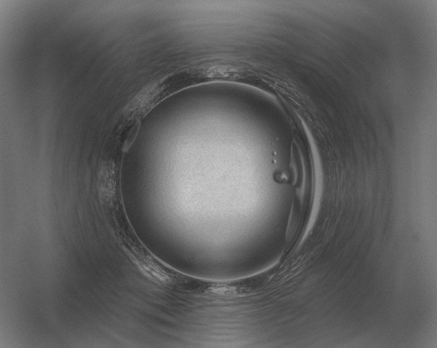 X0000056370413200509021819