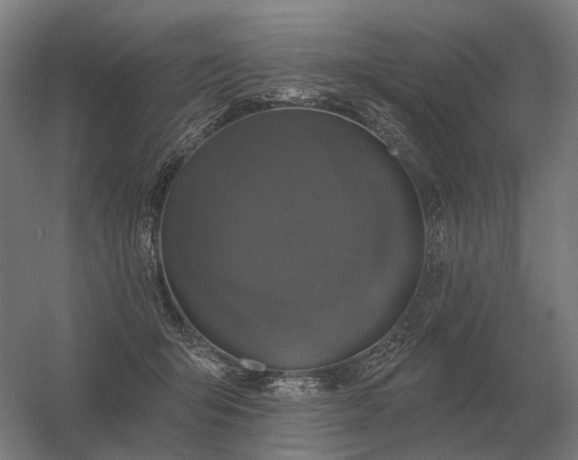 X0000056370415200509021819