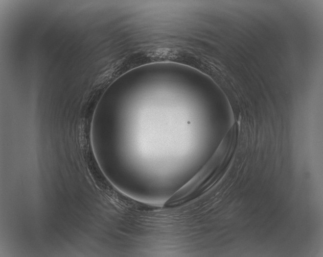 X0000056370416200509021819