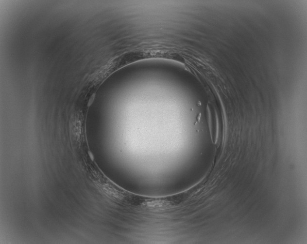 X0000056370417200509021819