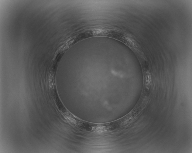 X0000056370419200509021819