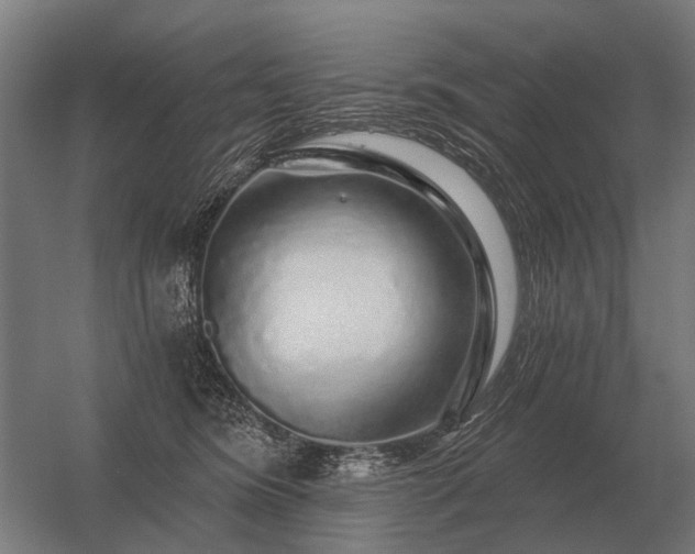 X0000056370420200509021819