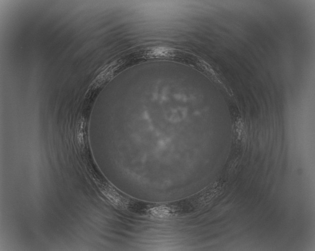 X0000056370423200509021819