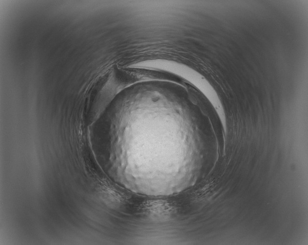 X0000056370424200509021819