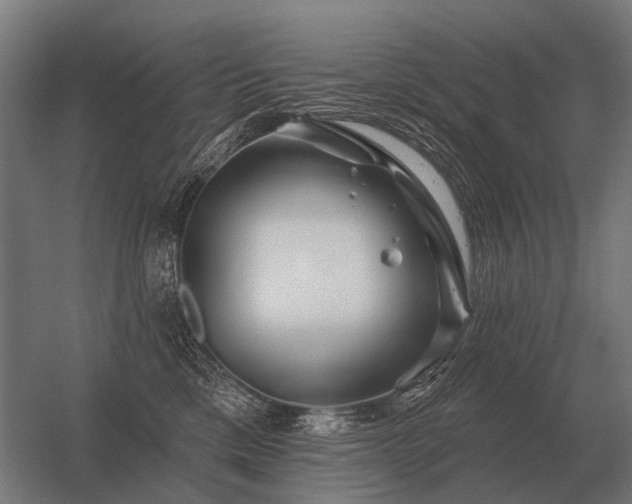 X0000056370425200509021819