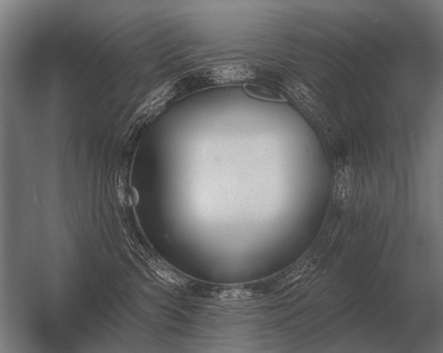 X0000056370426200509021819