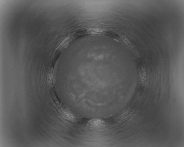 X0000056370427200509021819