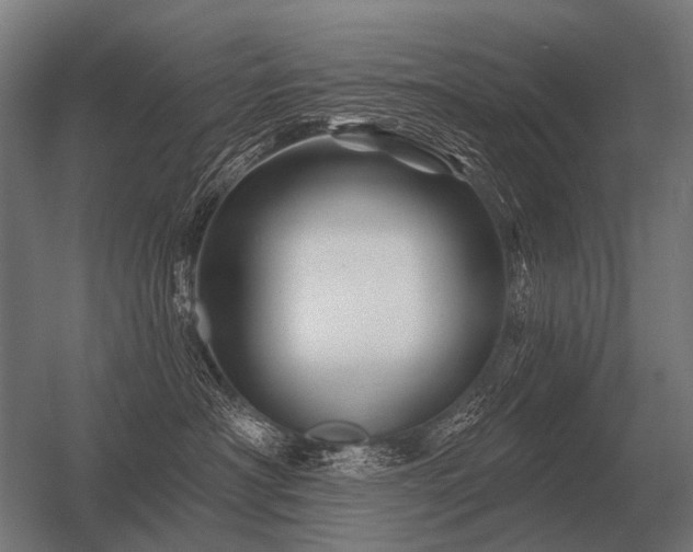 X0000056370430200509021819