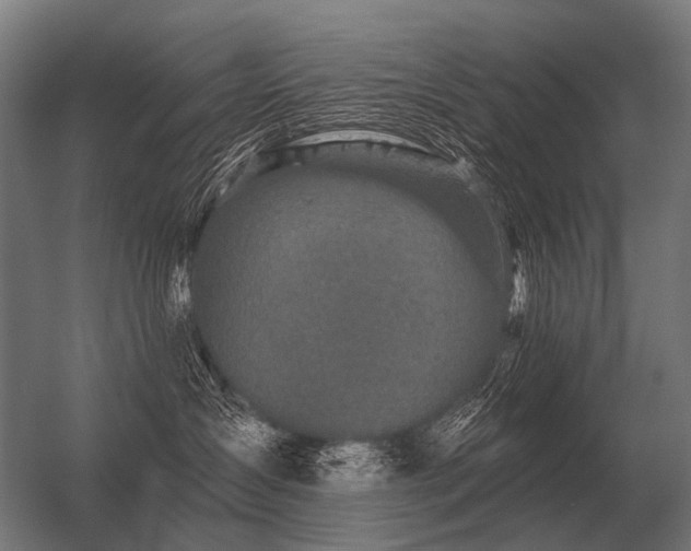 X0000056370431200509021819