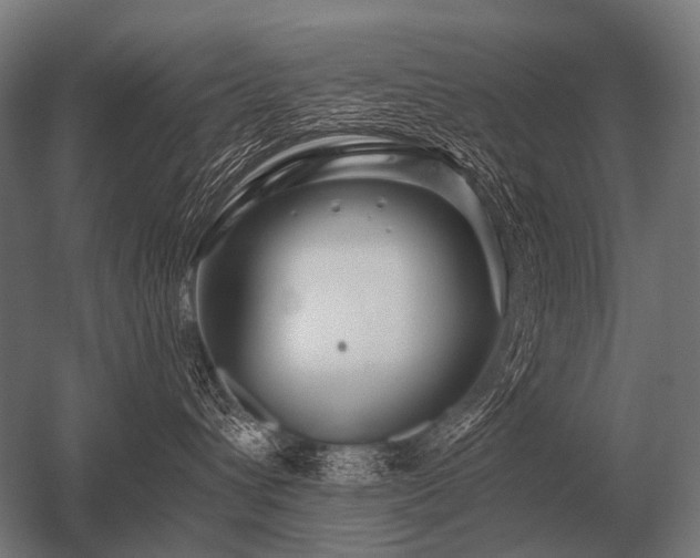 X0000056370432200509021819