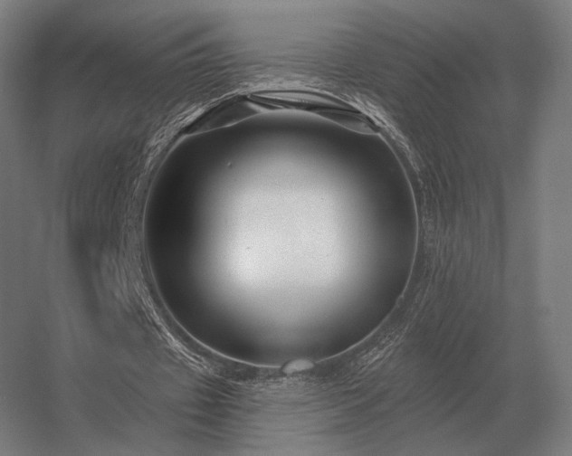 X0000056370433200509021818