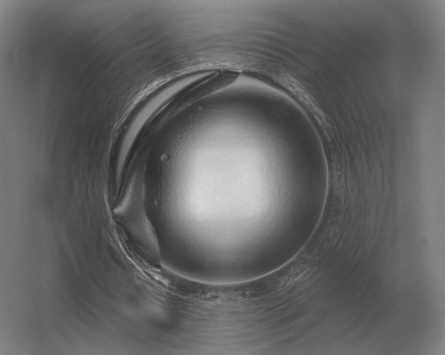 X0000056370434200509021818