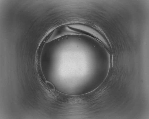 X0000056370435200509021818