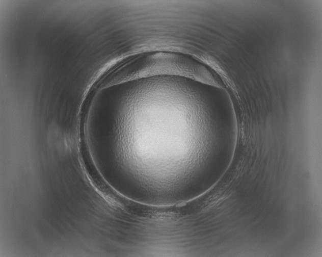 X0000056370438200509021818