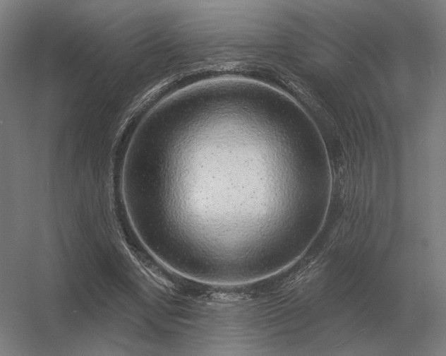 X0000056370442200509021818