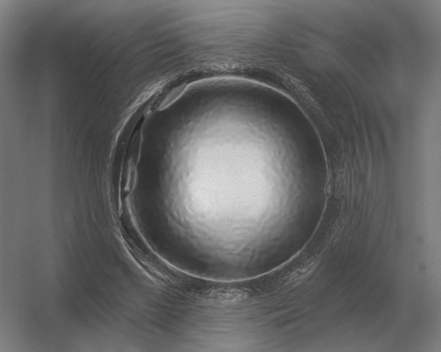 X0000056370443200509021818