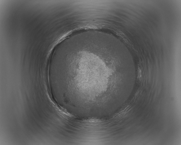 X0000056370444200509021818