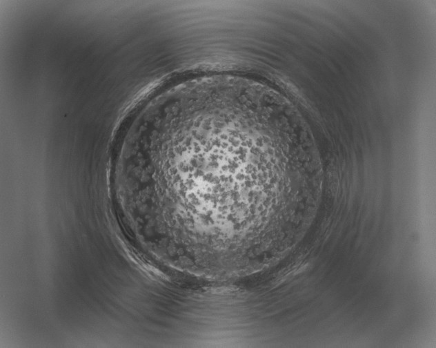 X0000056370446200509021818