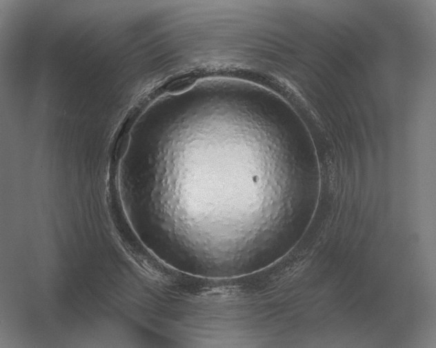 X0000056370447200509021818