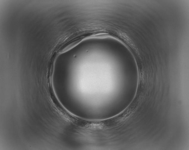 X0000056370449200509021818