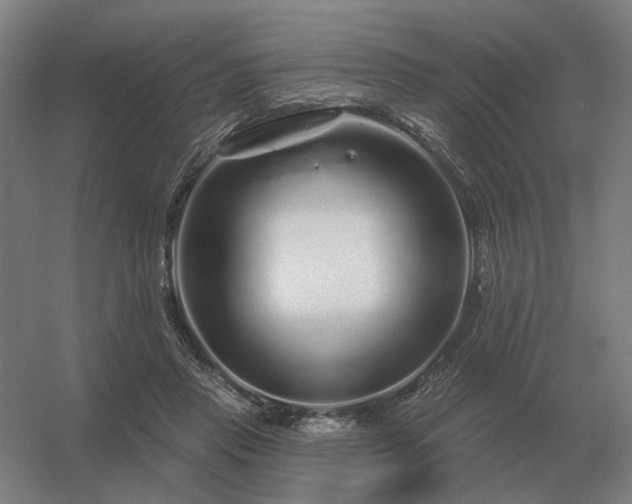 X0000056370453200509021818