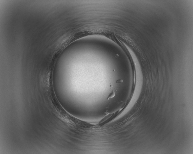 X0000056370454200509021819