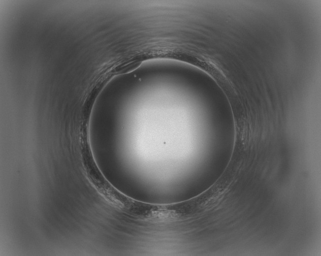 X0000056370455200509021819