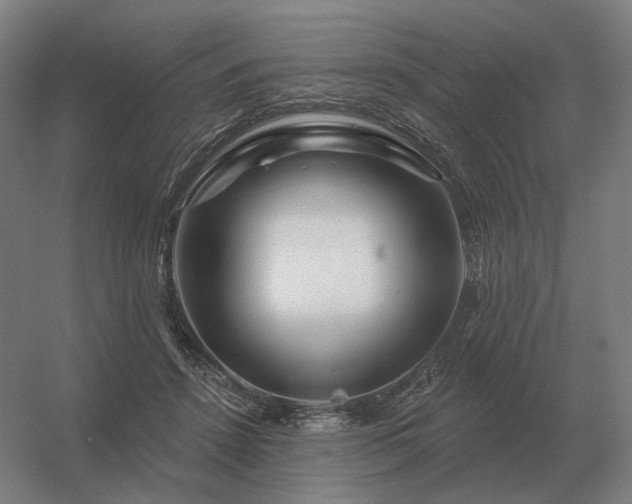 X0000056370456200509021819