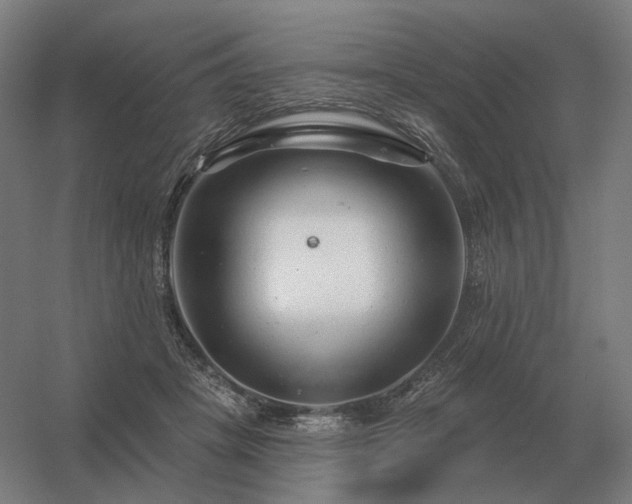 X0000056370457200509021819