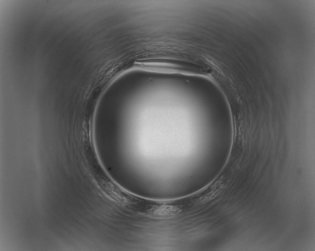 X0000056370459200509021819