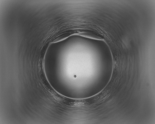 X0000056370462200509021819